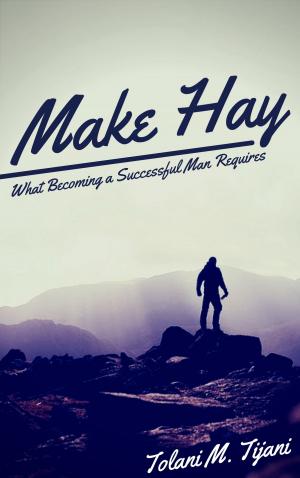 Cover of the book Make Hay by Jude Ifesinachi