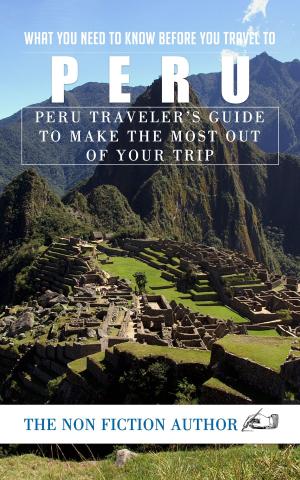 Book cover of What You Need to Know Before You Travel to Peru