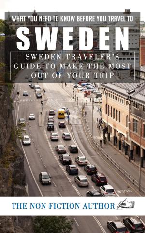 Book cover of What You Need to Know Before You Travel to Sweden