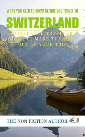 Book cover of What You Need to Know Before You Travel to Switzerland