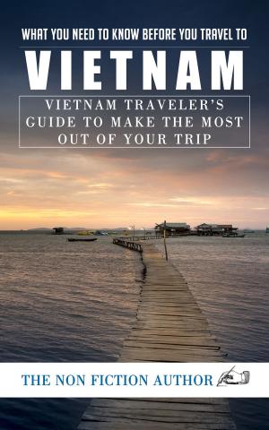 Book cover of What You Need to Know Before You Travel to Vietnam