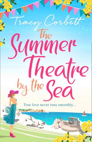 Cover of the book The Summer Theatre by the Sea by Louis Catt, Fiona Cummings