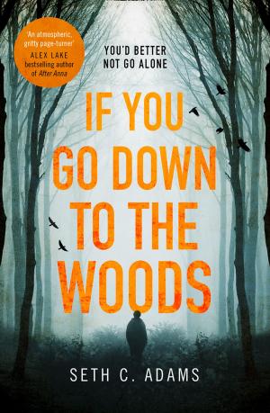 Cover of the book If You Go Down to the Woods by Ruby Jackson