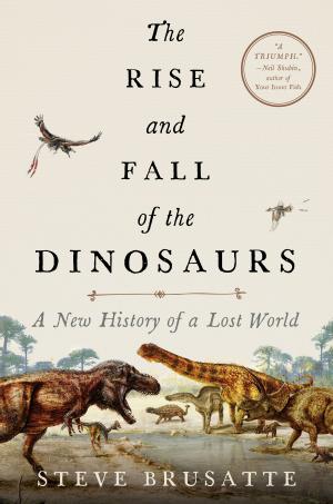Cover of the book The Rise and Fall of the Dinosaurs by Steven Sabatino