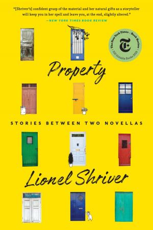 Cover of the book Property by Renée Knight