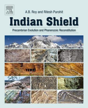 Cover of the book Indian Shield by Richard A. Epstein