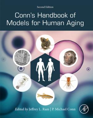 Cover of the book Conn's Handbook of Models for Human Aging by Thomas D. Feigenbaum