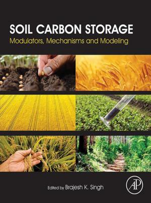 Cover of the book Soil Carbon Storage by Peter W. Hawkes