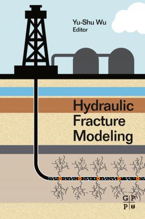 Cover of Hydraulic Fracture Modeling