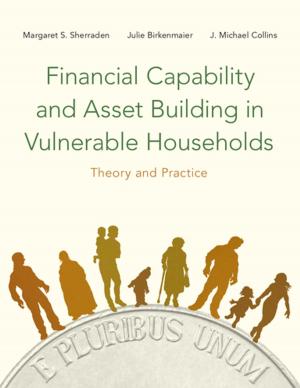 Book cover of Financial Capability and Asset Building in Vulnerable Households