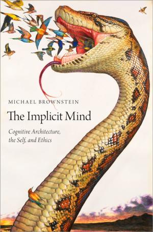 bigCover of the book The Implicit Mind by 