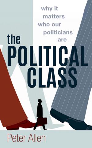 Cover of the book The Political Class by Anne-Marie McAlinden