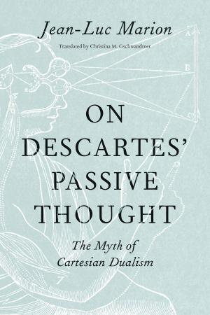 Cover of the book On Descartes’ Passive Thought by Alan Shapiro