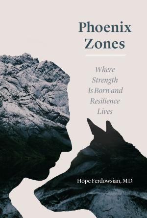 Cover of the book Phoenix Zones by Alex Preda