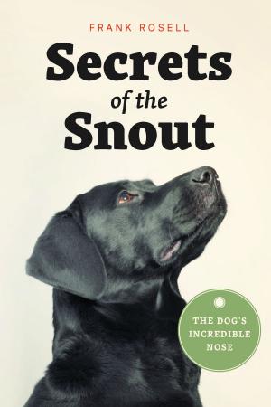 bigCover of the book Secrets of the Snout by 