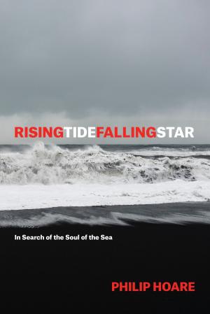 Cover of the book RISINGTIDEFALLINGSTAR by Sasha Newell