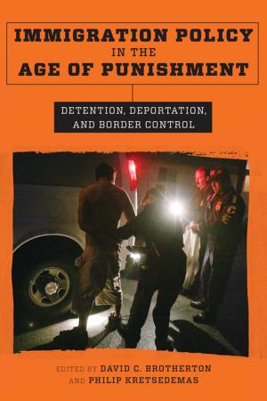 Cover of the book Immigration Policy in the Age of Punishment by 