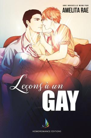 Cover of the book Leçons à un Gay (Teaching a Twink) - Nouvelle gay by Cherylin A.Nash, Lou Jazz
