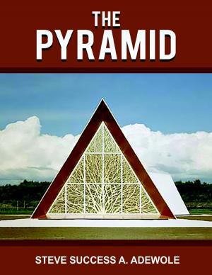 Cover of the book The Pyramid by Jennie Gillies