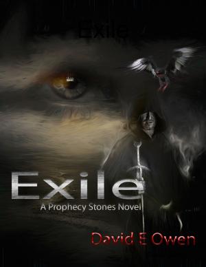 Cover of the book Exile: A Prophecy Stones Novel by Julia Muso