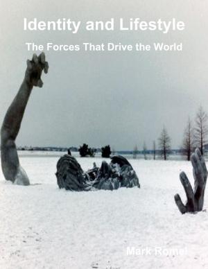 Cover of the book Identity and Lifestyle: The Forces That Drive the World by John M. Grimsrud