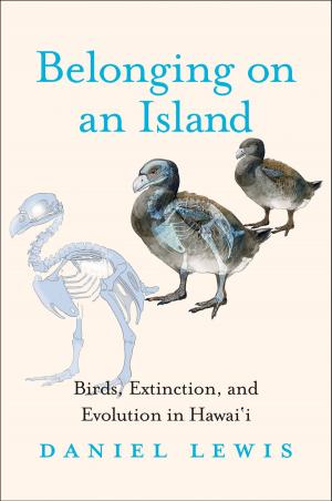 Cover of the book Belonging on an Island by 