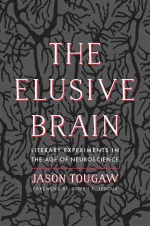 Cover of the book Elusive Brain by Joseph Bergin