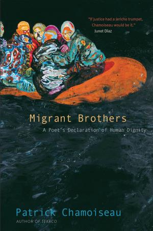 Book cover of Migrant Brothers