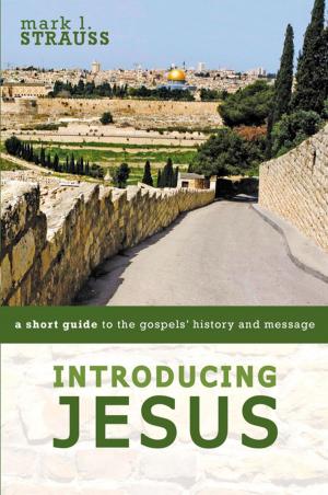 Cover of the book Introducing Jesus by Paul Koptak