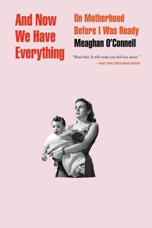 Cover of the book And Now We Have Everything by Mary Simses