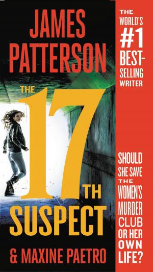 Book cover of The 17th Suspect