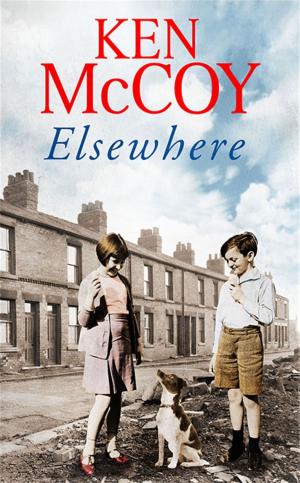 Cover of the book Elsewhere by Kate Figes