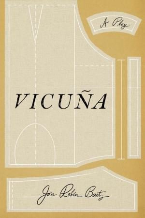 Cover of the book Vicuña by Courtney Angela Brkic