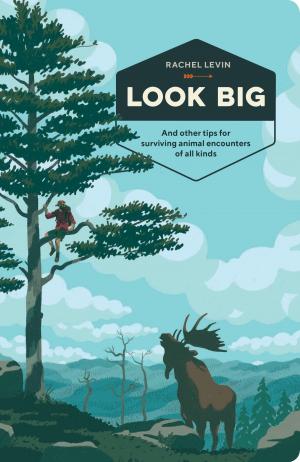 Cover of the book Look Big by Steve Schultz