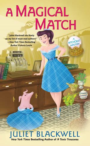 Cover of the book A Magical Match by Phyllis A. Balch, CNC