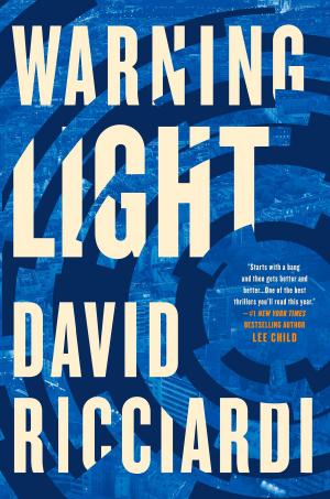 Cover of the book Warning Light by Rod Martinez