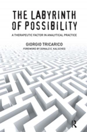 Cover of the book The Labyrinth of Possibility by Carl Saxer