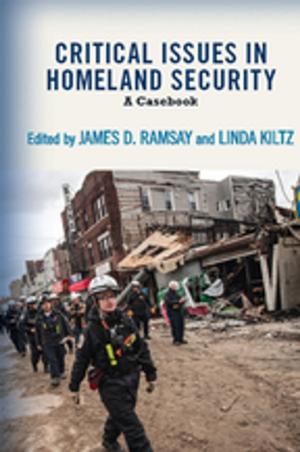 Cover of the book Critical Issues in Homeland Security by Willem B. Drees
