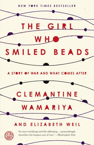 Book cover of The Girl Who Smiled Beads