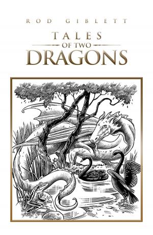 Book cover of Tales of Two Dragons