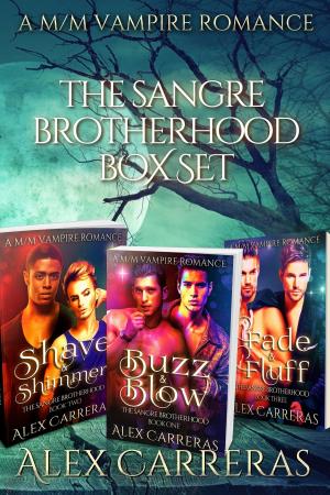 Book cover of The Sangre Brotherhood: Box Set