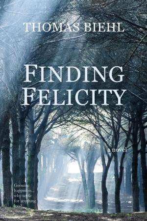 Book cover of Finding Felicity
