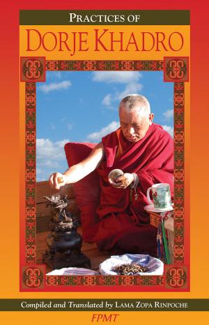 Book cover of The Preliminary Practice of Dorje Khadro eBook
