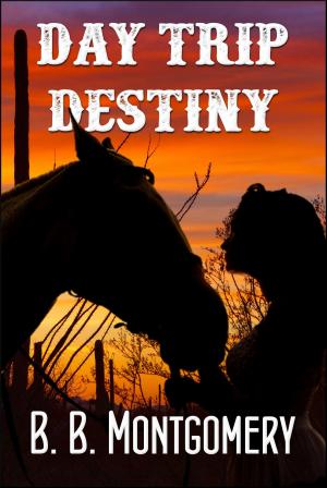 Cover of the book Day Trip Destiny by S. Reynolds