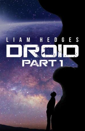 Cover of the book Droid: Part 1 by Brendan Healy