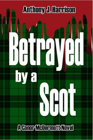 Cover of the book Betrayed by a Scot by R.W. Wallace