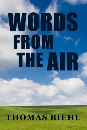 Cover of the book Words from the Air by Algan Sezgintüredi