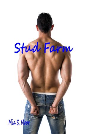 Cover of Stud Farm