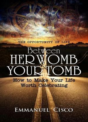 bigCover of the book Between Her Womb & Your Tomb by 