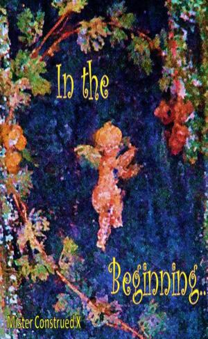 Book cover of In the Beginning